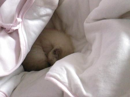 Ton lit douillet 