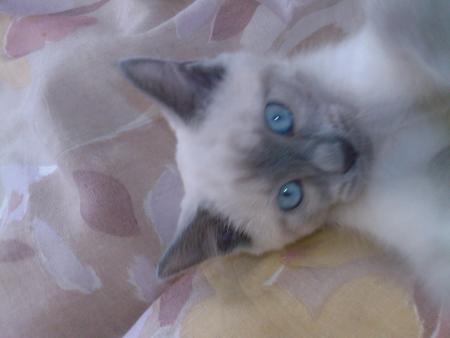 Petite coquine !!!!!