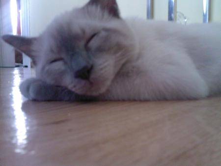 Mon bébé bambou je t'aime