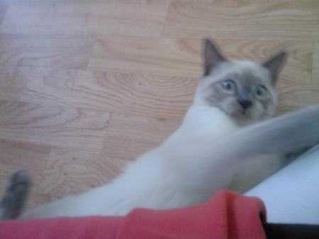 Bouuuu
