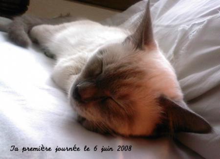 Première journée de femme ...