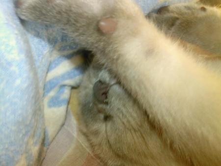 Et ca dort !!!!