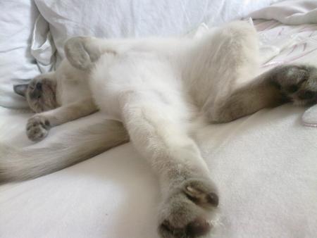 Une petite sieste  